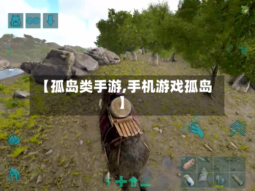 【孤岛类手游,手机游戏孤岛】