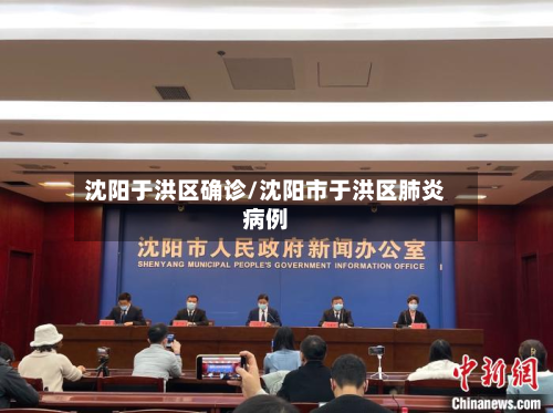 沈阳于洪区确诊/沈阳市于洪区肺炎病例-第2张图片