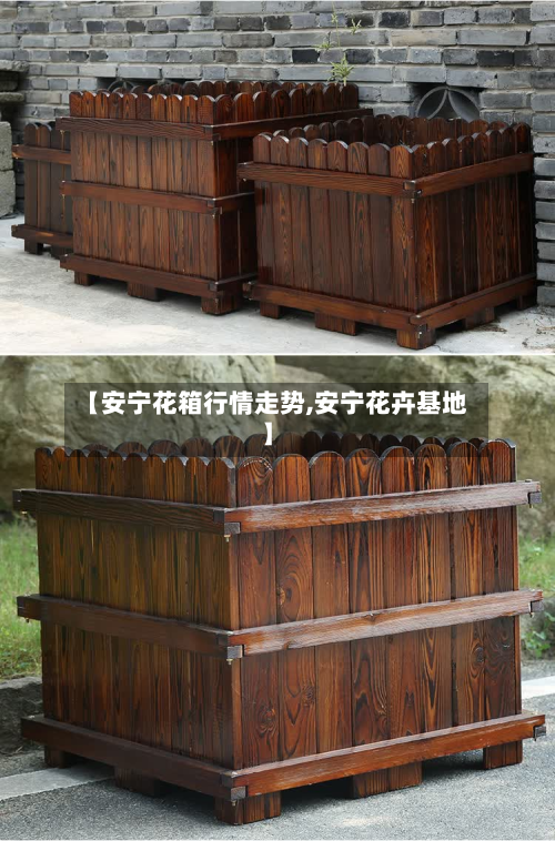 【安宁花箱行情走势,安宁花卉基地】