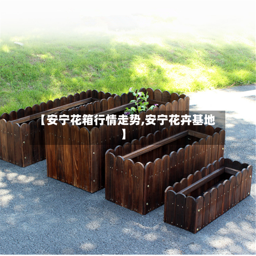 【安宁花箱行情走势,安宁花卉基地】-第2张图片