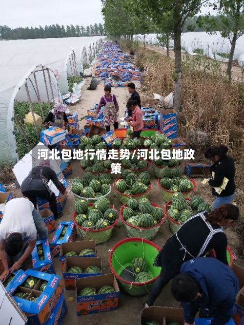 河北包地行情走势/河北包地政策-第2张图片