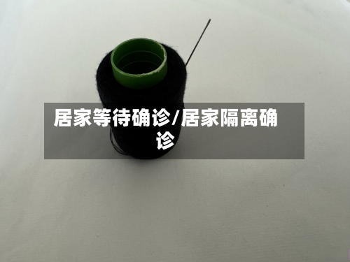 居家等待确诊/居家隔离确诊