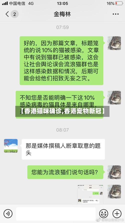 【香港猫咪确诊,香港宠物新冠】