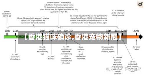 【香港猫咪确诊,香港宠物新冠】-第2张图片
