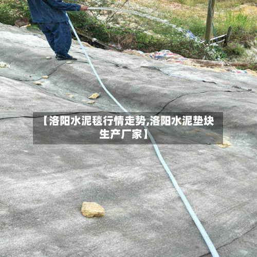 【洛阳水泥毯行情走势,洛阳水泥垫块生产厂家】