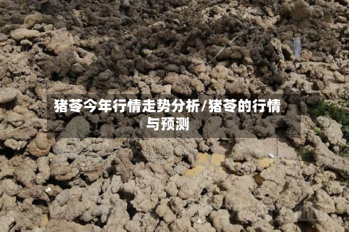 猪苓今年行情走势分析/猪苓的行情与预测