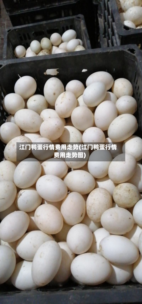 江门鸭蛋行情费用走势(江门鸭蛋行情费用走势图)