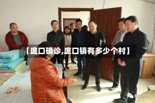 【庞口确诊,庞口镇有多少个村】