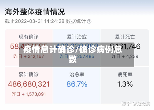 疫情总计确诊/确诊病例总数