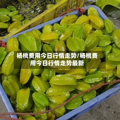 杨桃费用今日行情走势/杨桃费用今日行情走势最新