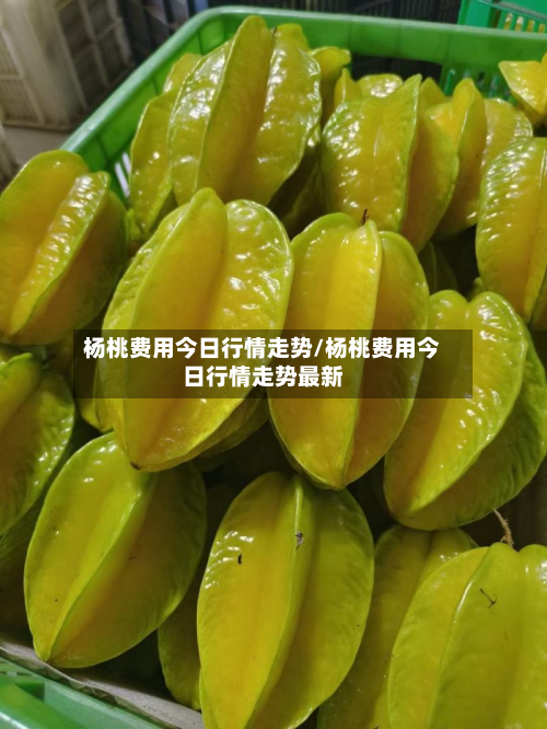 杨桃费用今日行情走势/杨桃费用今日行情走势最新-第2张图片