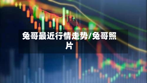 兔哥最近行情走势/兔哥照片-第3张图片