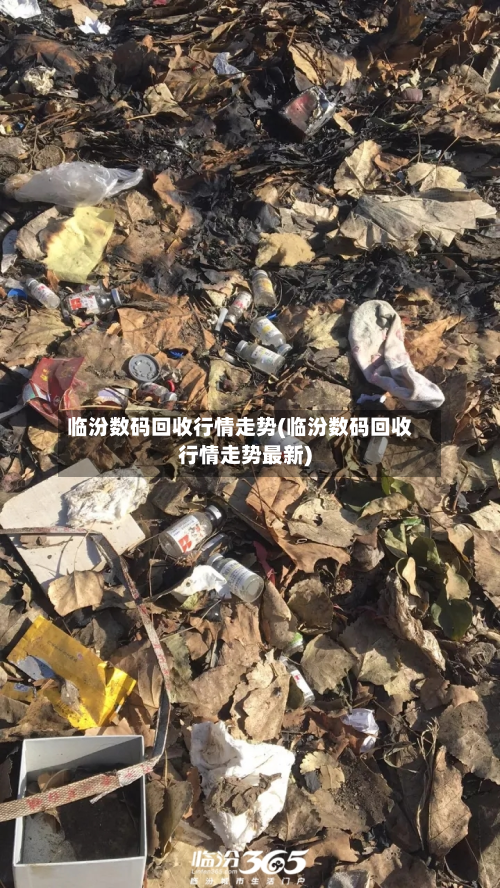 临汾数码回收行情走势(临汾数码回收行情走势最新)-第3张图片