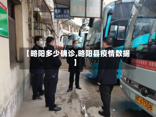 【略阳多少确诊,略阳县疫情数据】-第2张图片