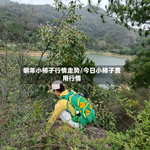 明年小柿子行情走势/今日小柿子费用行情-第2张图片