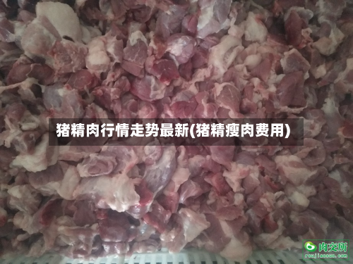 猪精肉行情走势最新(猪精瘦肉费用)-第2张图片