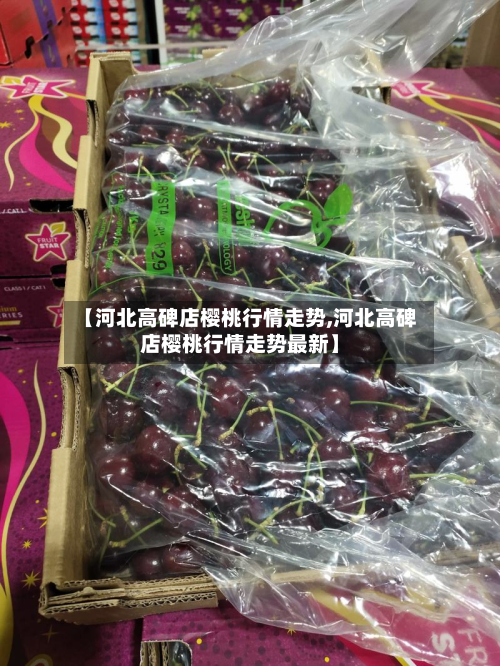 【河北高碑店樱桃行情走势,河北高碑店樱桃行情走势最新】