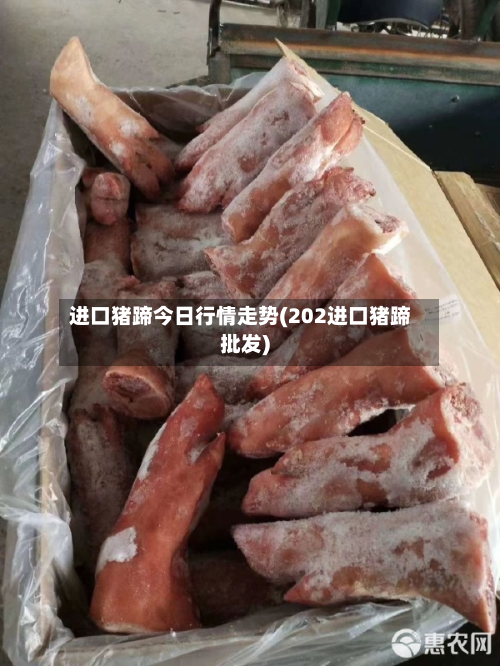 进口猪蹄今日行情走势(202进口猪蹄批发)-第2张图片