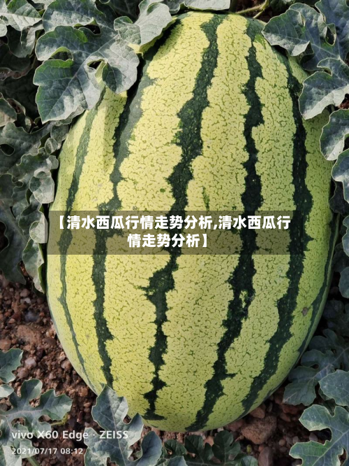 【清水西瓜行情走势分析,清水西瓜行情走势分析】