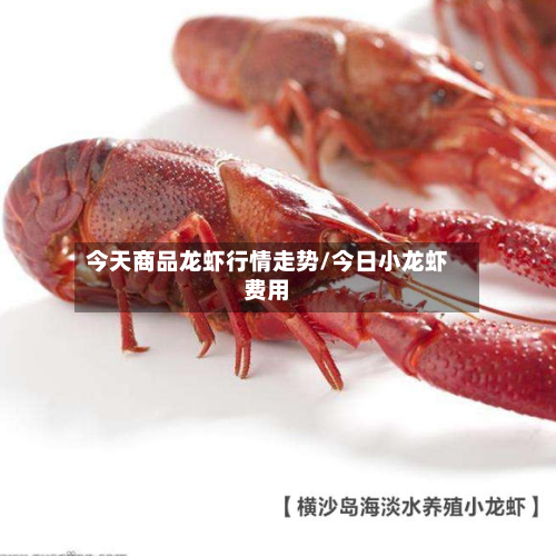 今天商品龙虾行情走势/今日小龙虾费用-第3张图片