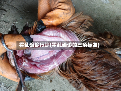 霍乱确诊行踪(霍乱确诊的三项标准)-第2张图片