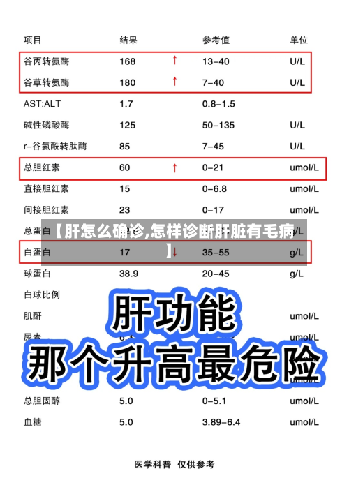 【肝怎么确诊,怎样诊断肝脏有毛病】