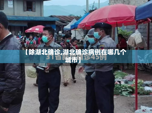 【除湖北确诊,湖北确诊病例在哪几个城市】