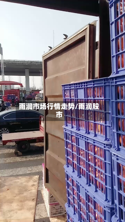 雨润市场行情走势/雨润股市