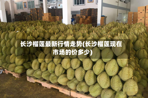长沙榴莲最新行情走势(长沙榴莲现在市场的价多少)-第2张图片