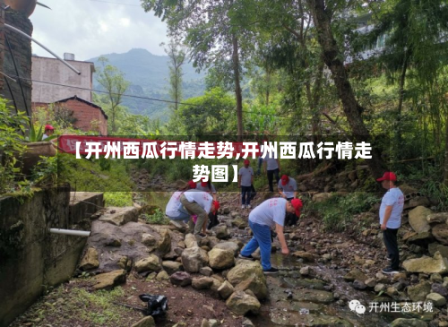 【开州西瓜行情走势,开州西瓜行情走势图】-第2张图片