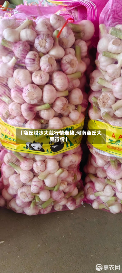 【商丘脱水大蒜行情走势,河南商丘大蒜行情】