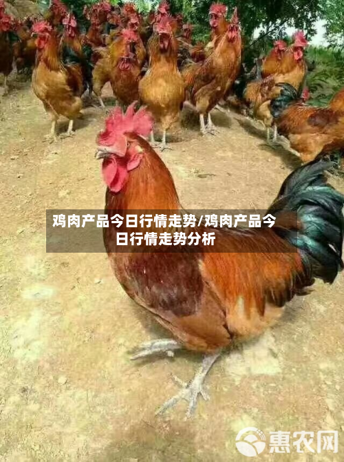 鸡肉产品今日行情走势/鸡肉产品今日行情走势分析-第3张图片