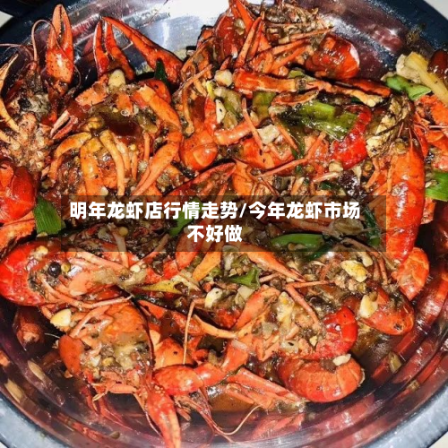 明年龙虾店行情走势/今年龙虾市场不好做-第3张图片