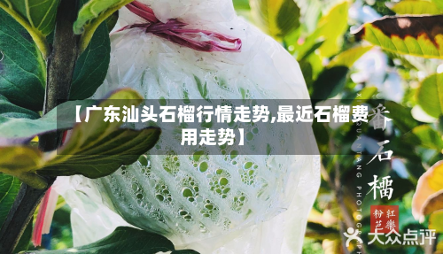 【广东汕头石榴行情走势,最近石榴费用走势】-第2张图片