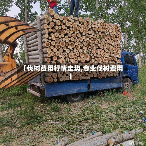 【伐树费用行情走势,专业伐树费用】
