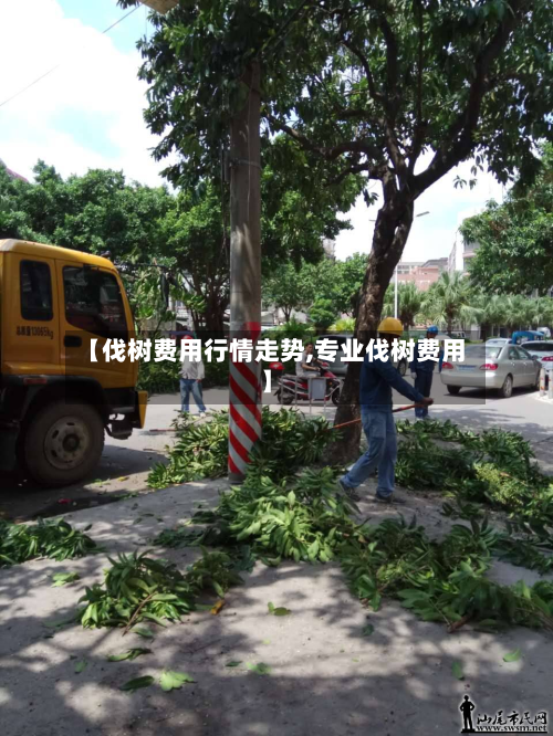 【伐树费用行情走势,专业伐树费用】-第2张图片