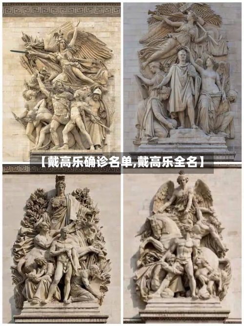 【戴高乐确诊名单,戴高乐全名】-第2张图片