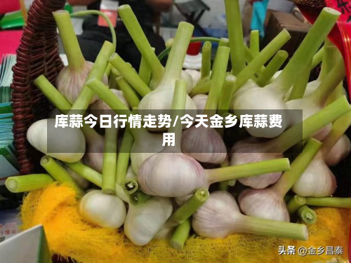 库蒜今日行情走势/今天金乡库蒜费用-第2张图片