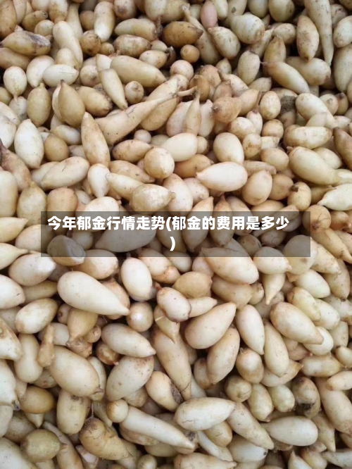 今年郁金行情走势(郁金的费用是多少)