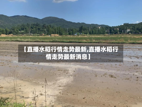 【直播水稻行情走势最新,直播水稻行情走势最新消息】-第2张图片