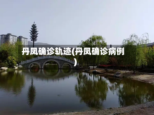 丹凤确诊轨迹(丹凤确诊病例)