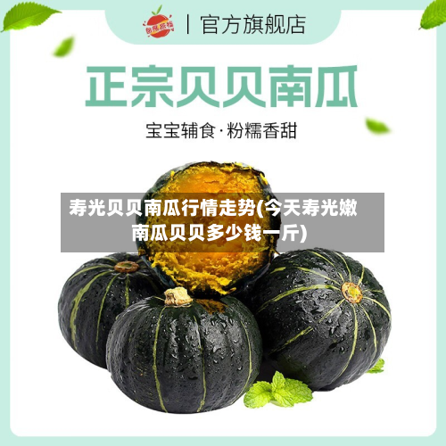 寿光贝贝南瓜行情走势(今天寿光嫩南瓜贝贝多少钱一斤)
