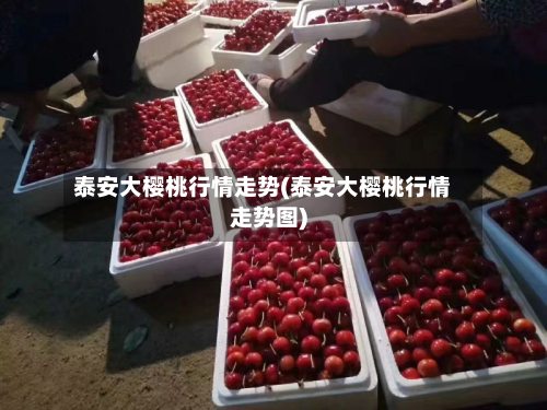 泰安大樱桃行情走势(泰安大樱桃行情走势图)