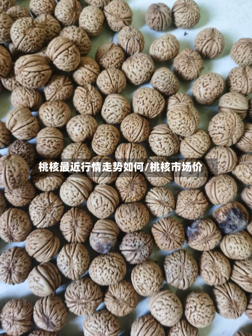桃核最近行情走势如何/桃核市场价-第2张图片