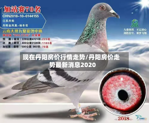 现在丹阳房价行情走势/丹阳房价走势最新消息2020-第3张图片