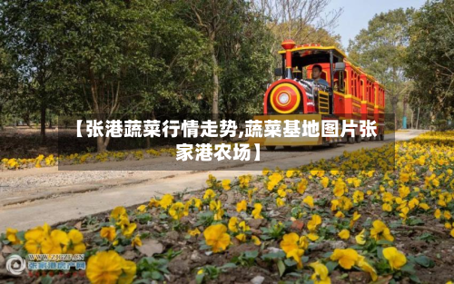 【张港蔬菜行情走势,蔬菜基地图片张家港农场】