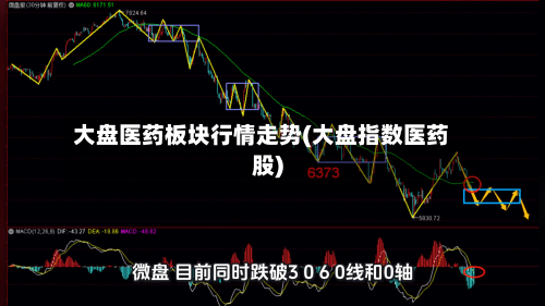 大盘医药板块行情走势(大盘指数医药股)-第3张图片