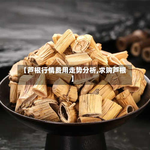 【芦根行情费用走势分析,求购芦根】-第2张图片