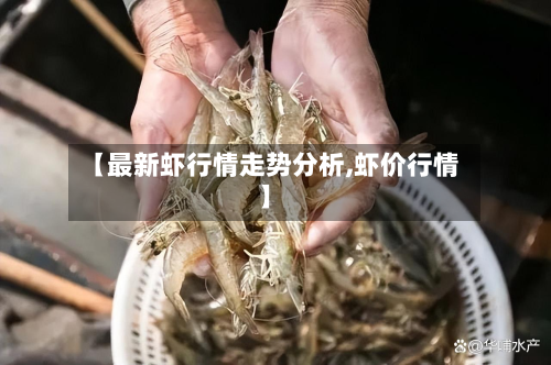 【最新虾行情走势分析,虾价行情】