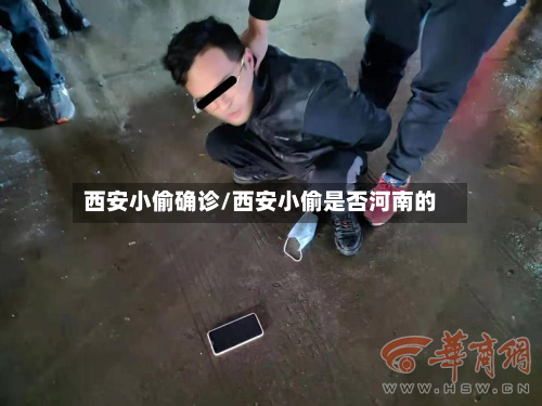 西安小偷确诊/西安小偷是否河南的-第3张图片